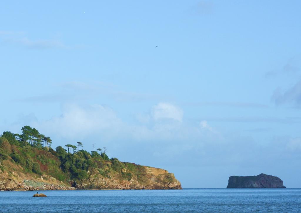 The Marstan Guesthouse Torquay Extérieur photo